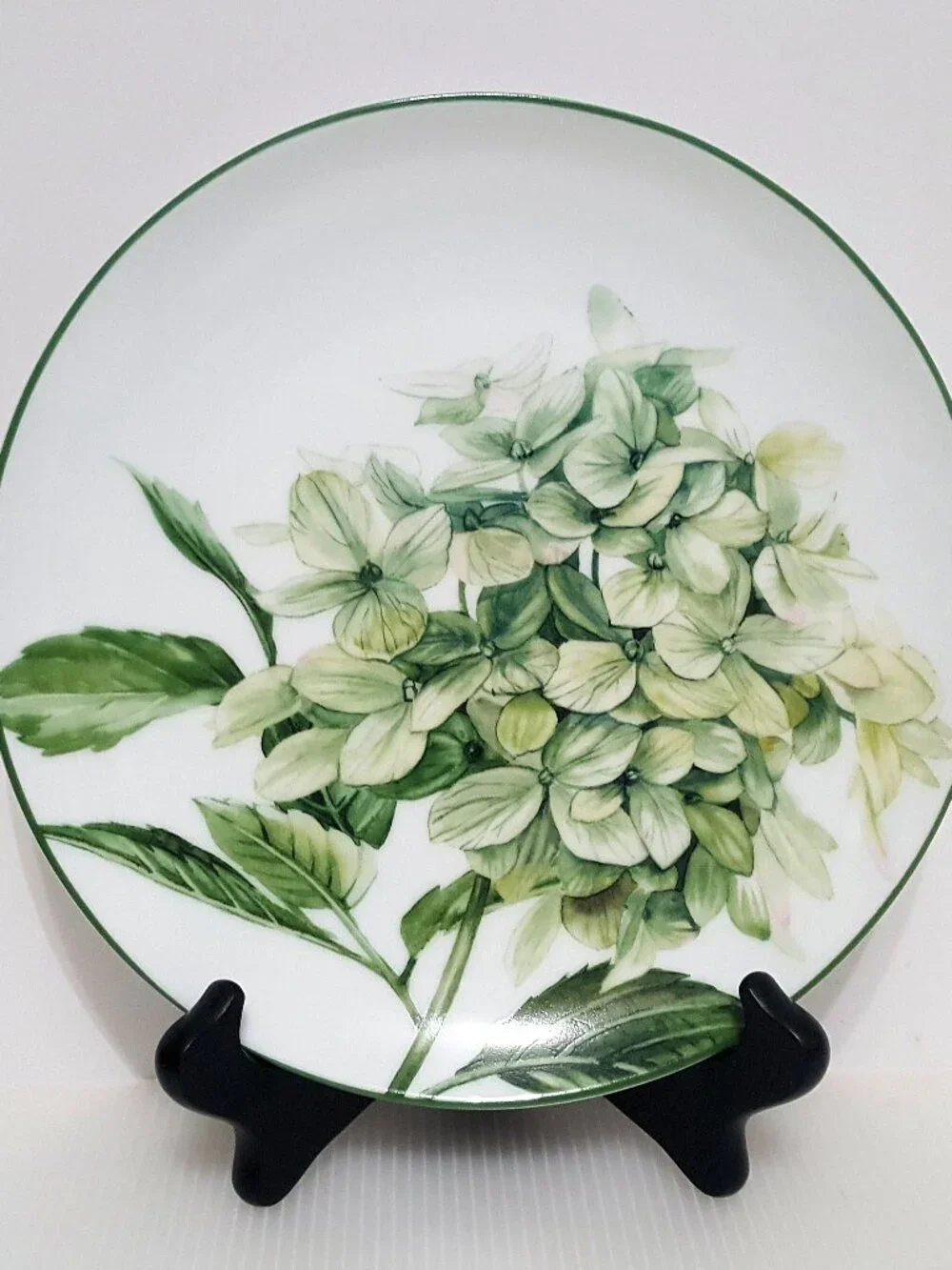 Williams Sonoma S/4 Hydrangea Salad Plates 8.5